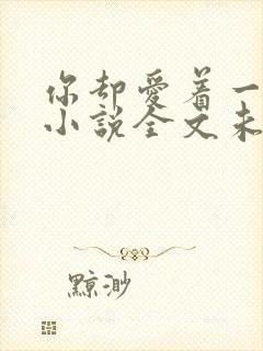 你却爱着一个他小说全文未删减免费封面