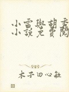 小雷与胡秀英的小说免费阅读全文封面