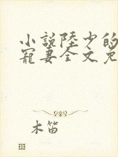 小说陆少的心尖宠妻全文免费阅读