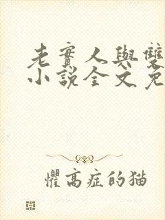 老实人与双胞胎小说全文免费阅读