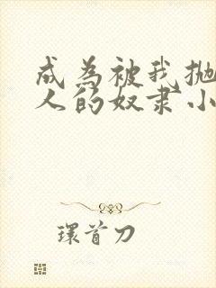 成为被我抛弃的人的奴隶小说免费阅读