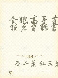 全职高手有声小说免费听书