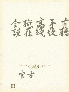 全职高手有声小说在线收听封面