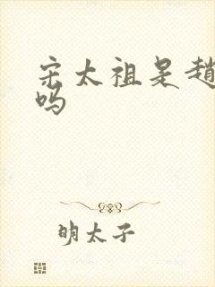 宋太祖是赵匡胤吗