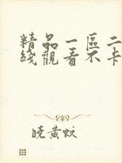 精品一区二区在线观看不卡