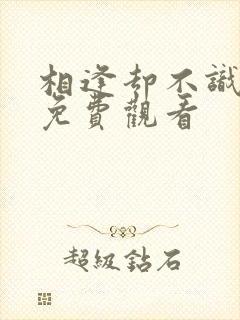 相逢却不识短剧免费观看