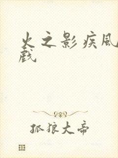 火之影疾风传游戏封面