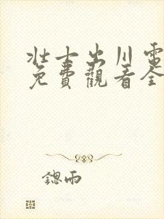 壮士出川电视剧免费观看全集40封面