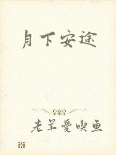 月下安途封面