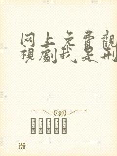 网上免费观看电视剧我是刑警