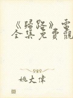 《归路》电视剧全集免费观看高清