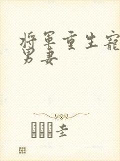 将军重生宠可怜男妻