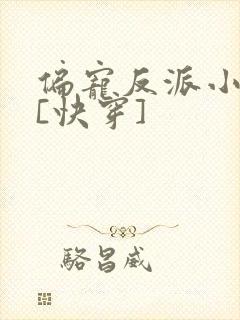 偏宠反派小可怜[快穿]