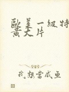 欧美一级特aa黄大片封面