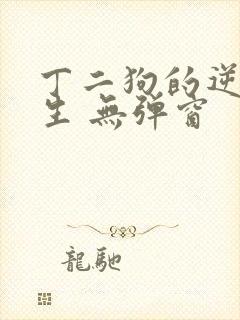 丁二狗的逆袭人生 无弹窗