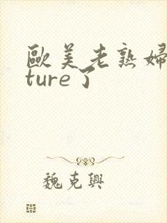 欧美老熟妇mature了