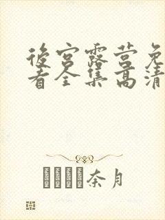 后宫露营免费观看全集高清封面