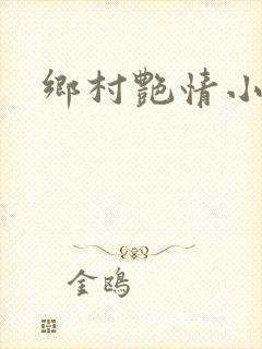 乡村艳情小说封面