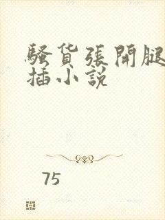 骚货张开腿让我插小说