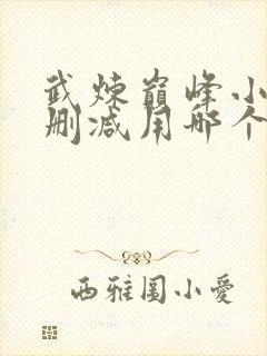 武炼巅峰小说无删减用哪个软件封面