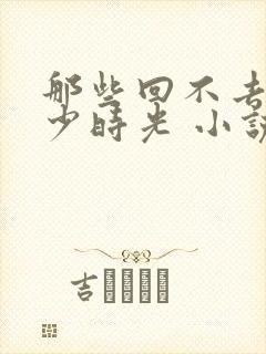 那些回不去的年少时光 小说