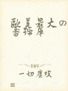 欧美最大のav番号库