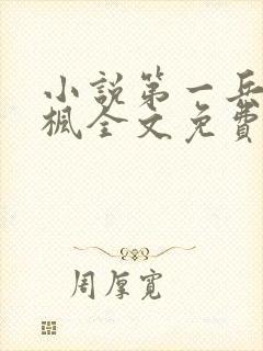 小说第一兵王于枫全文免费阅读