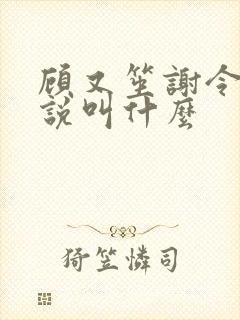 顾又笙谢令仪小说叫什么封面