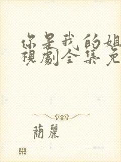 你是我的姐妹电视剧全集免费观看封面