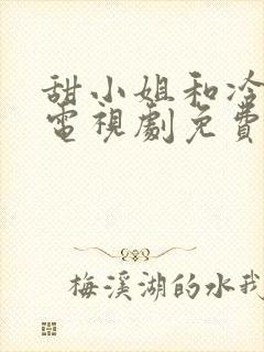 甜小姐和冷先生电视剧免费观看