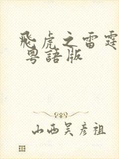 飞虎之雷霆极战 粤语版