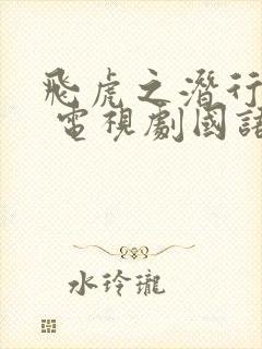 飞虎之潜行极战 电视剧国语封面