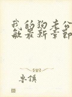 我的狗老公张淑敏最新章节免费阅读