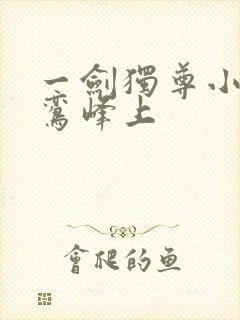 一剑独尊小说青鸾峰上