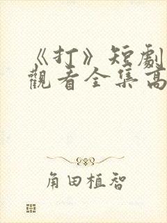 《打》短剧免费观看全集高清