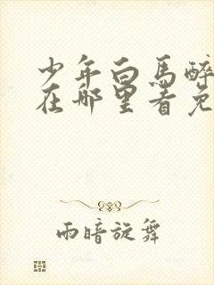 少年白马醉春风在哪里看免费