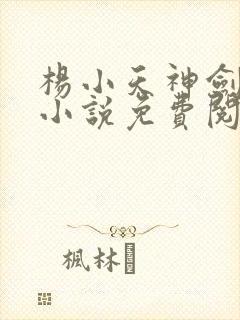 杨小天神剑无敌小说免费阅读全文封面