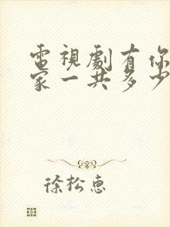 电视剧有你才有家一共多少集封面