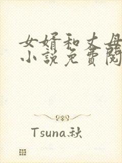 女婿和丈母娘的小说免费阅读