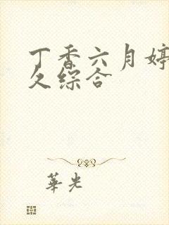 丁香六月婷婷久久综合