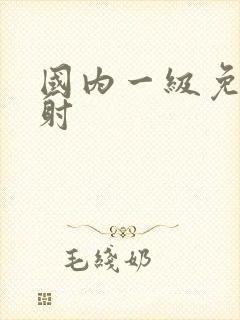国内一级免费内射
