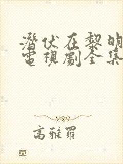 潜伏在黎明之前电视剧全集免费观看