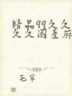 精品99久久久久久国产麻豆
