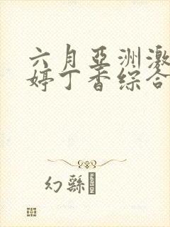 六月亚洲激情婷婷丁香综合网