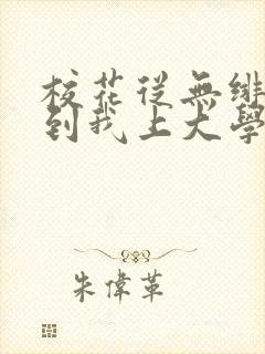 校花从无绯闻直到我上大学小说txt下载