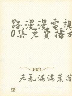 路漫漫电视剧40集免费播放