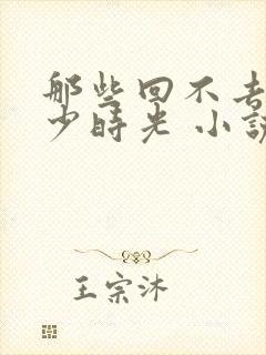 那些回不去的年少时光 小说