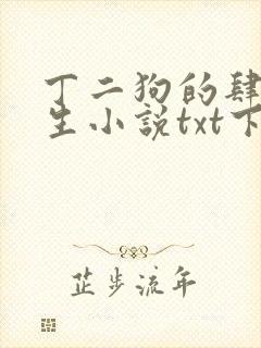 丁二狗的肆意人生小说txt下载