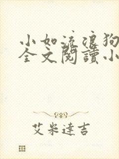 小如流浪狗01全文阅读小说封面
