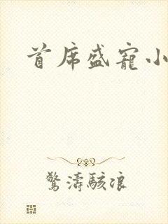 首席盛宠小萌妻